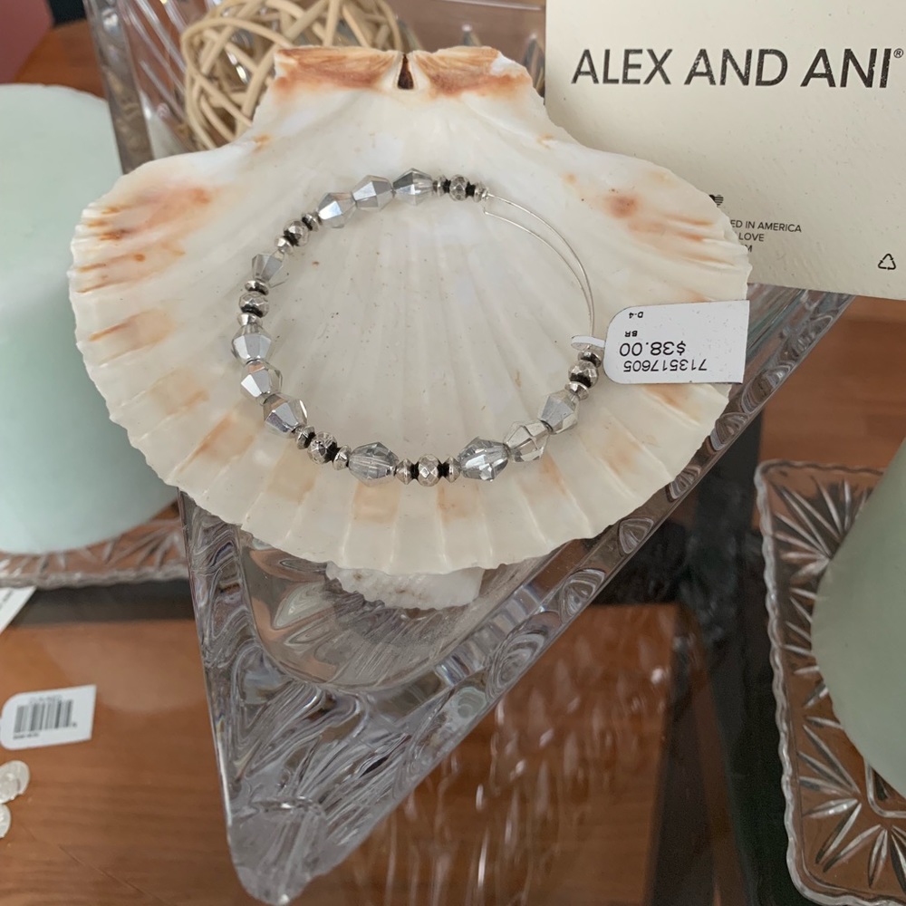 Alex and Ani Rafaellian Silver Beaded Bangle